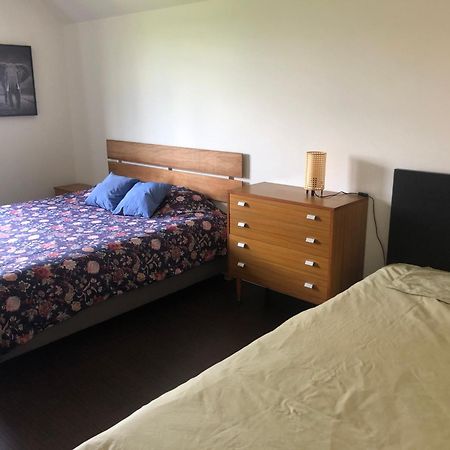 Landelijke Villa Met Zwembad En Gezellige Openhaard Zemst Exteriör bild