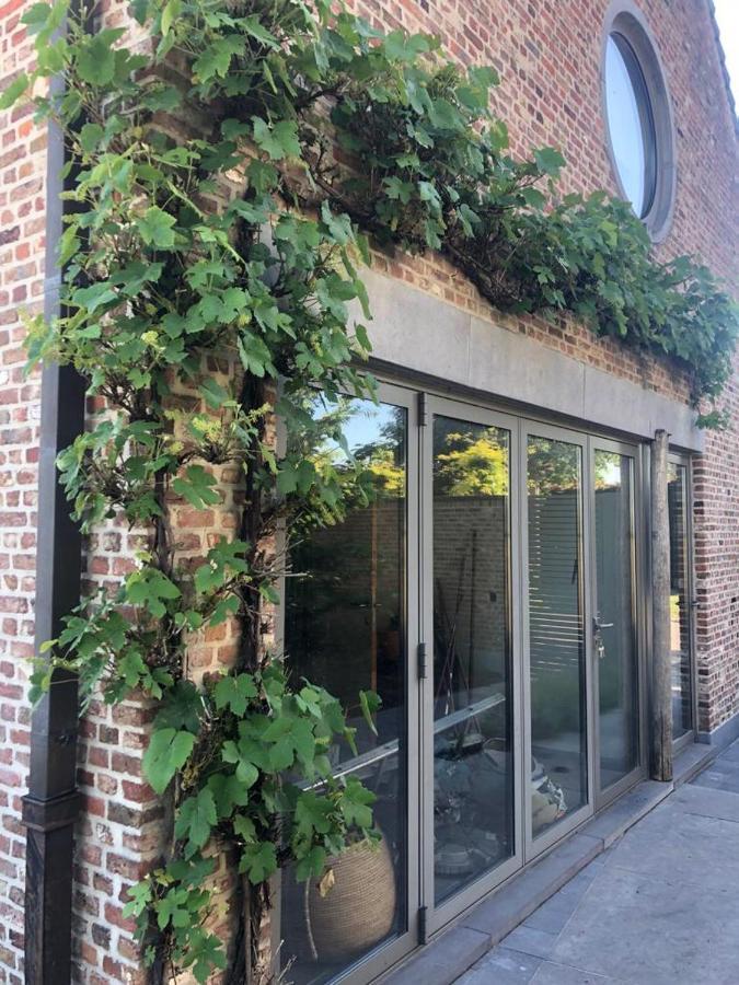 Landelijke Villa Met Zwembad En Gezellige Openhaard Zemst Exteriör bild